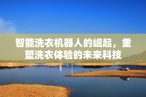 智能洗衣机器人的崛起，重塑洗衣体验的未来科技
