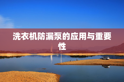洗衣机防漏泵的应用与重要性