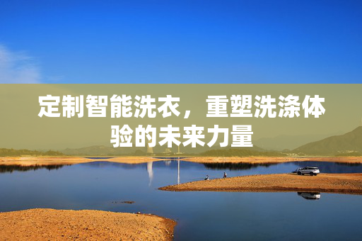 定制智能洗衣，重塑洗涤体验的未来力量