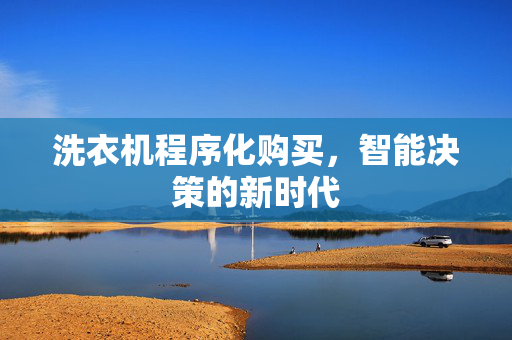 洗衣机程序化购买，智能决策的新时代