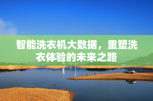 智能洗衣机大数据，重塑洗衣体验的未来之路