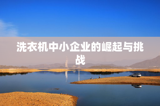 洗衣机中小企业的崛起与挑战