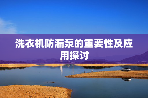 洗衣机防漏泵的重要性及应用探讨
