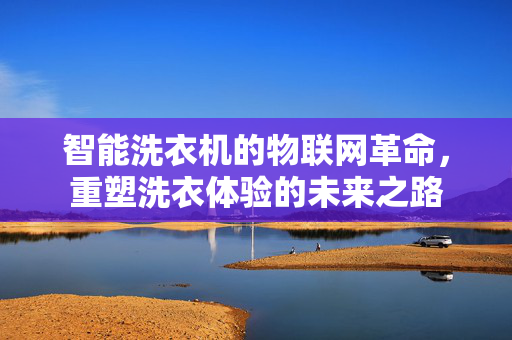 智能洗衣机的物联网革命，重塑洗衣体验的未来之路