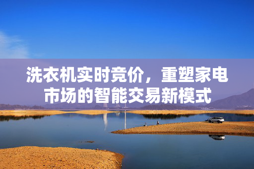 洗衣机实时竞价，重塑家电市场的智能交易新模式
