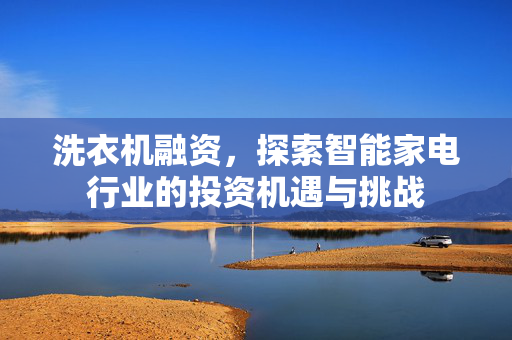 洗衣机融资，探索智能家电行业的投资机遇与挑战