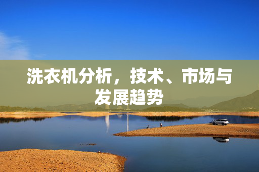 洗衣机分析，技术、市场与发展趋势