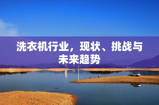 洗衣机行业，现状、挑战与未来趋势