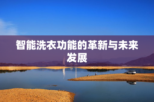 智能洗衣功能的革新与未来发展