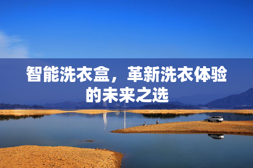 智能洗衣盒，革新洗衣体验的未来之选