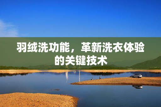 羽绒洗功能，革新洗衣体验的关键技术