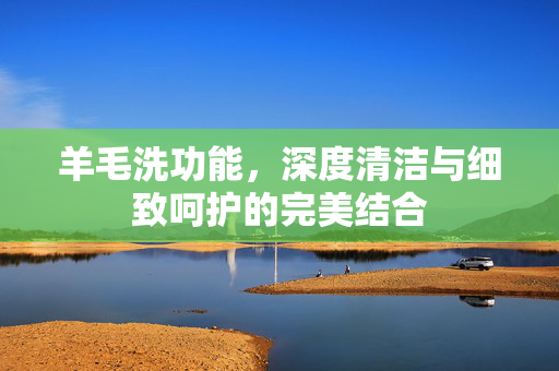 羊毛洗功能，深度清洁与细致呵护的完美结合
