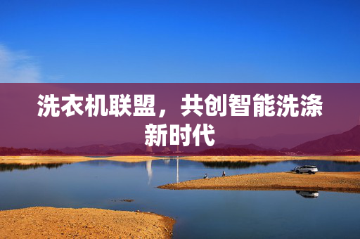 洗衣机联盟，共创智能洗涤新时代