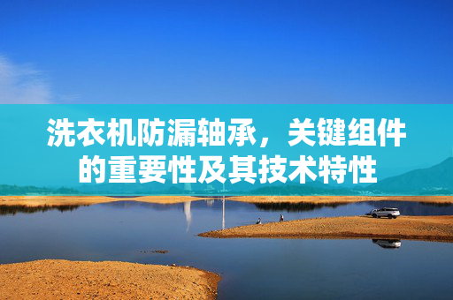 洗衣机防漏轴承，关键组件的重要性及其技术特性