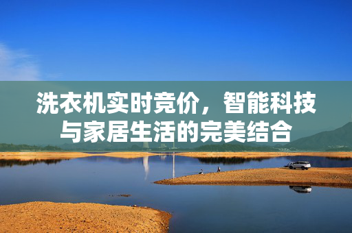 洗衣机实时竞价，智能科技与家居生活的完美结合