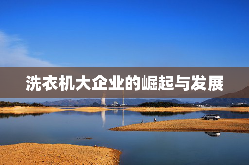 洗衣机大企业的崛起与发展