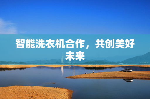 智能洗衣机合作，共创美好未来