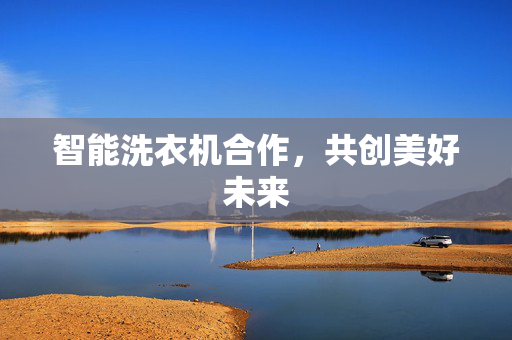 智能洗衣机合作，共创美好未来