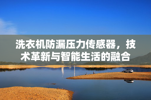洗衣机防漏压力传感器，技术革新与智能生活的融合