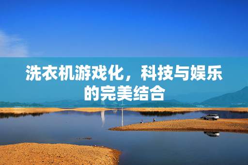 洗衣机游戏化，科技与娱乐的完美结合