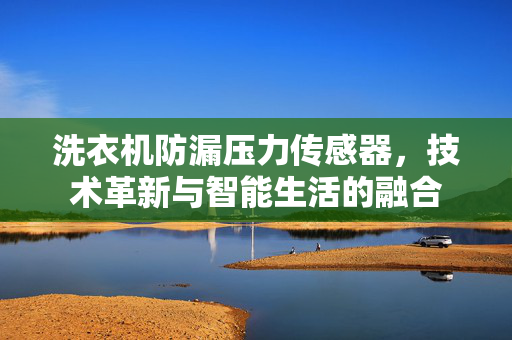 洗衣机防漏压力传感器，技术革新与智能生活的融合
