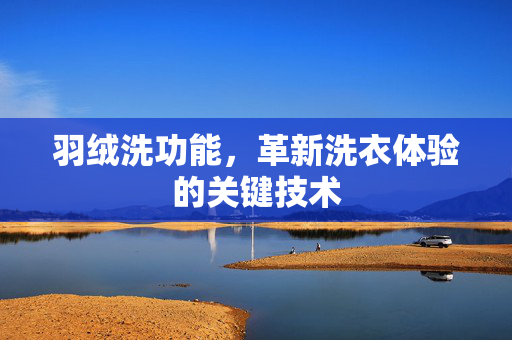 羽绒洗功能，革新洗衣体验的关键技术
