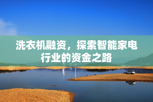 洗衣机融资，探索智能家电行业的资金之路