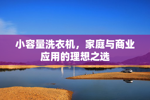 小容量洗衣机，家庭与商业应用的理想之选
