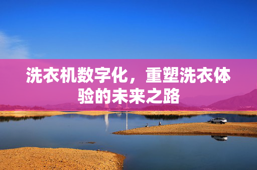 洗衣机数字化，重塑洗衣体验的未来之路