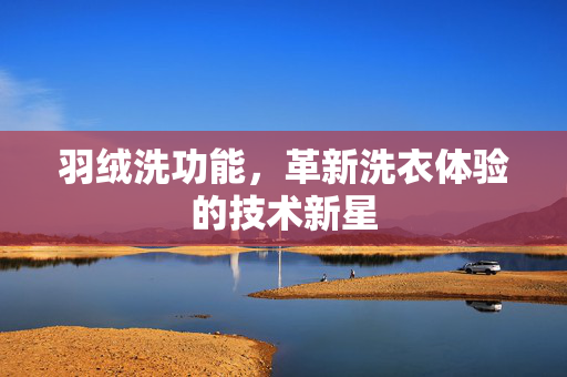 羽绒洗功能，革新洗衣体验的技术新星
