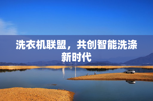洗衣机联盟，共创智能洗涤新时代