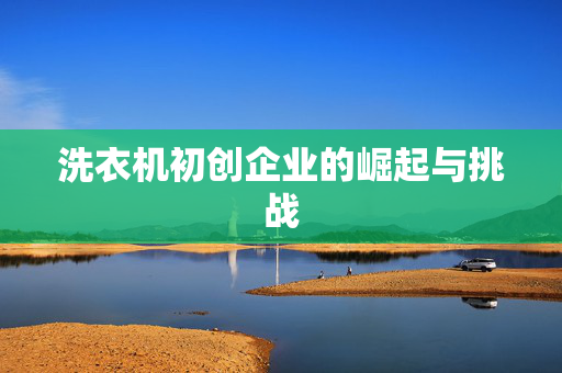 洗衣机初创企业的崛起与挑战
