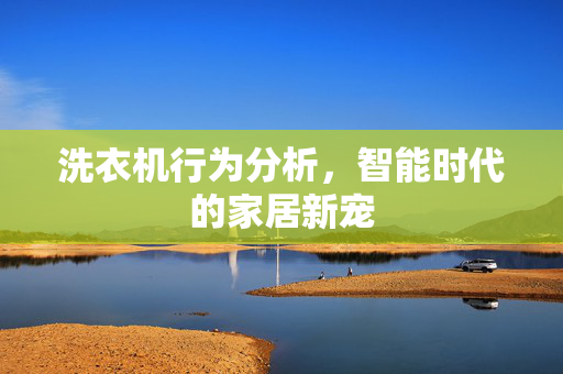 洗衣机行为分析，智能时代的家居新宠