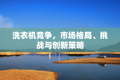 洗衣机竞争，市场格局、挑战与创新策略
