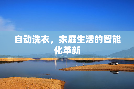 自动洗衣，家庭生活的智能化革新