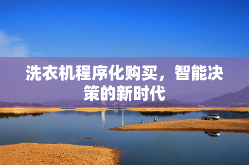 洗衣机程序化购买，智能决策的新时代