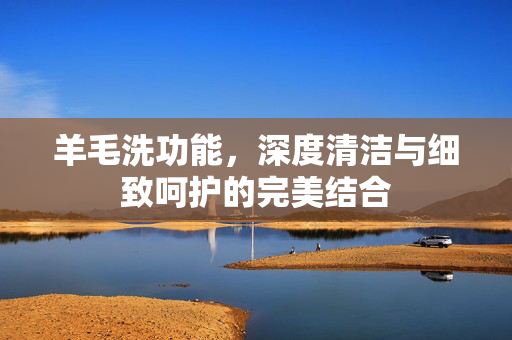 羊毛洗功能，深度清洁与细致呵护的完美结合