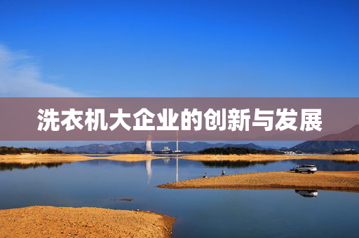 洗衣机大企业的创新与发展