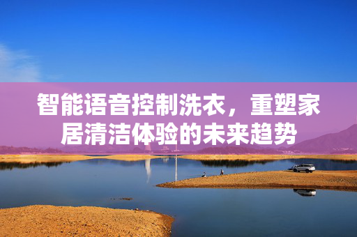 智能语音控制洗衣，重塑家居清洁体验的未来趋势