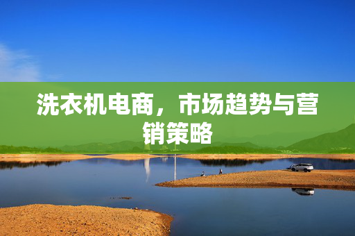 洗衣机电商，市场趋势与营销策略