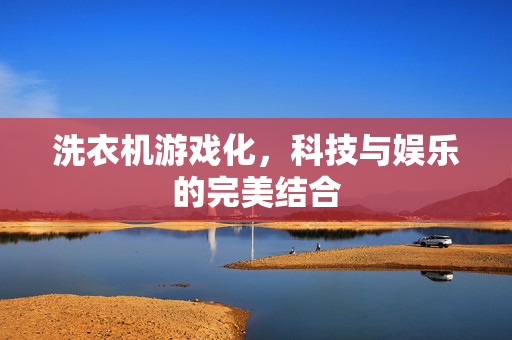 洗衣机游戏化，科技与娱乐的完美结合