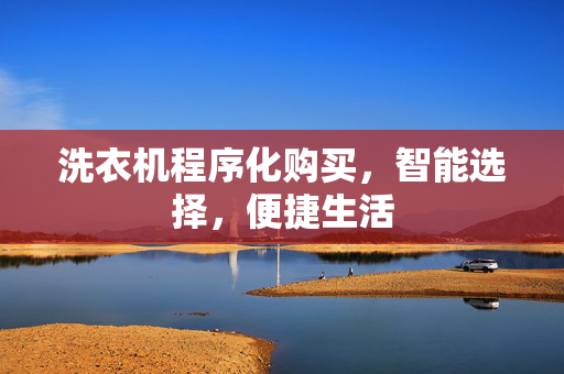 洗衣机程序化购买，智能选择，便捷生活