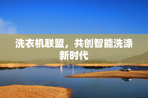 洗衣机联盟，共创智能洗涤新时代