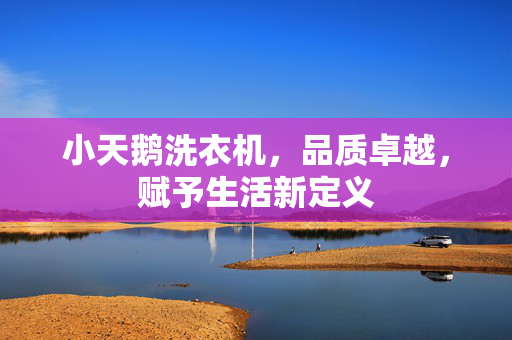小天鹅洗衣机，品质卓越，赋予生活新定义