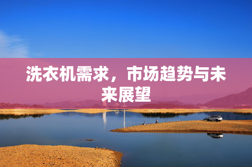 洗衣机需求，市场趋势与未来展望