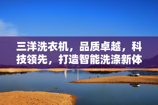 三洋洗衣机，品质卓越，科技领先，打造智能洗涤新体验