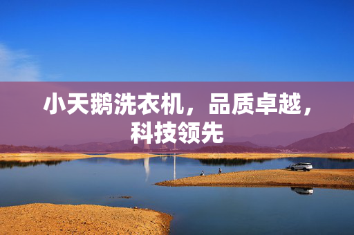 小天鹅洗衣机，品质卓越，科技领先