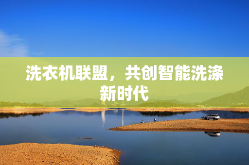 洗衣机联盟，共创智能洗涤新时代