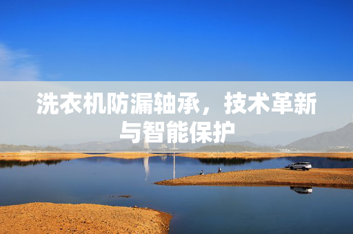 洗衣机防漏轴承，技术革新与智能保护