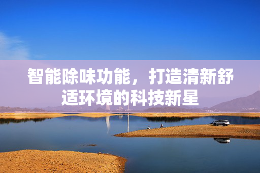 智能除味功能，打造清新舒适环境的科技新星